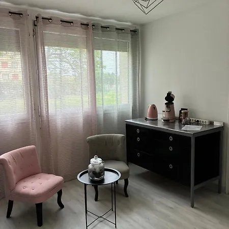 アパート Proche Eurexpo Et Hopitaux ブロン